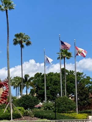 IMG_4306.jpeg