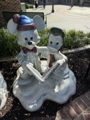 IMG_2123.jpeg