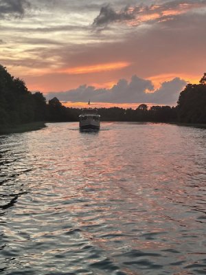 IMG_4036.jpeg