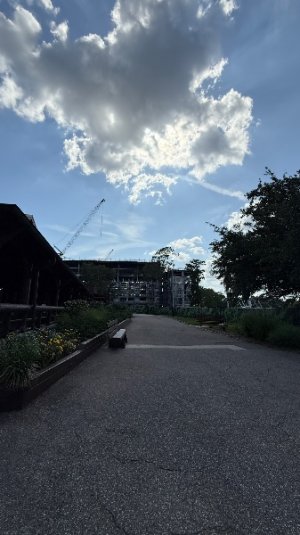 IMG_6515.jpeg