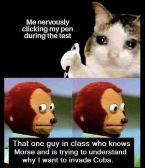 1747864474806.jpeg