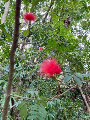 IMG_0117.jpeg