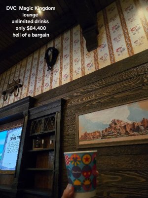 DVC soda MK.jpg