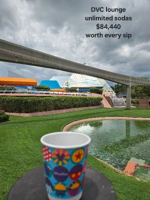 DVC soda.jpg