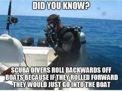 1747970223542-8e.jpg