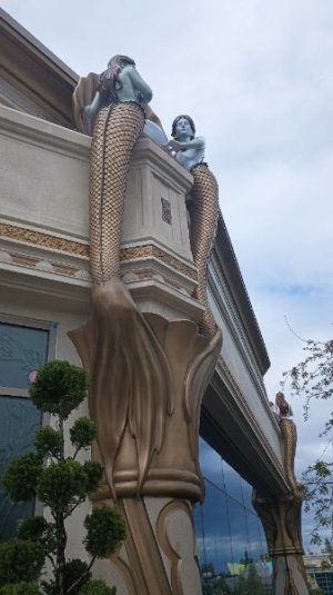 IMG_20250513_162439371.jpg