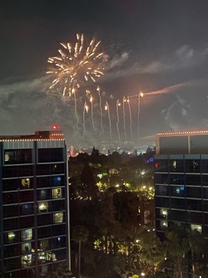 IMG_4520.jpeg