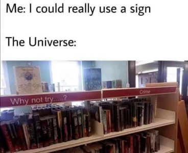 1748035153776.png