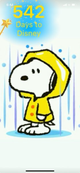 SNOOPY RAINY DAY.jpeg