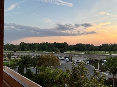 IMG_3966.jpeg