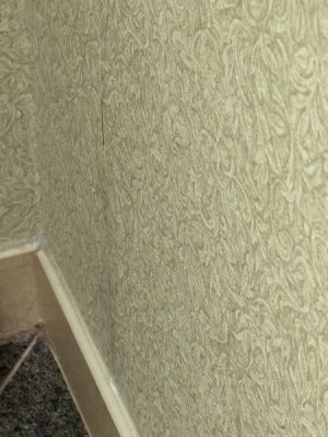 IMG_7271.jpeg