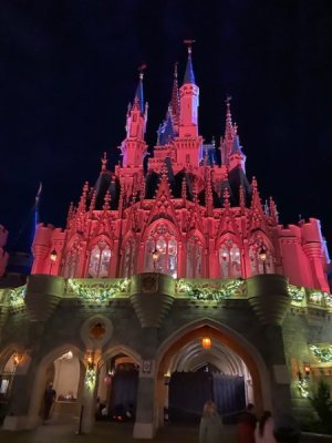 IMG_3686.jpg
