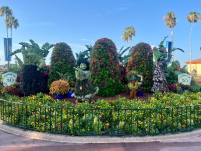 IMG_1807.jpeg