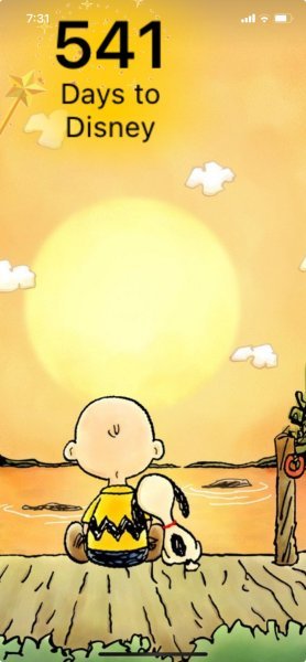 SNOOPY CHARLIE BROWN SUNSET.jpeg