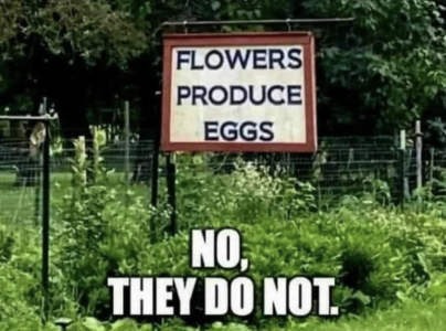 1748179683361.png