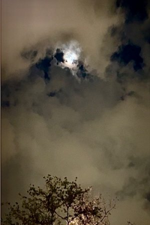 IMG_5661.jpeg