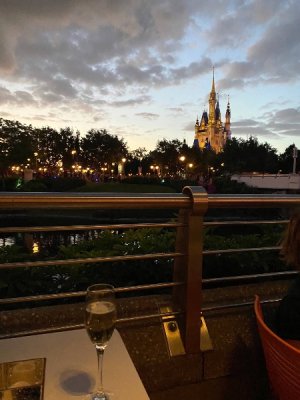 IMG_0328.jpeg