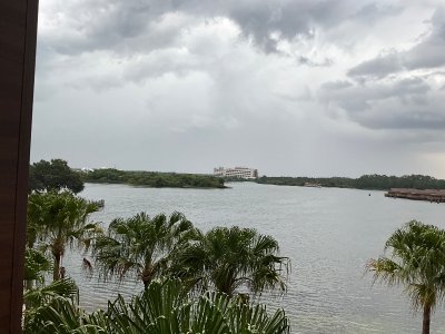 IMG_3993.jpeg