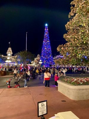 IMG_3131.jpeg