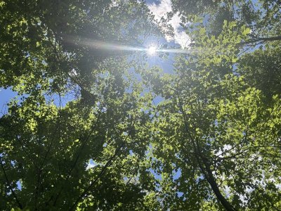 IMG_8647.jpeg