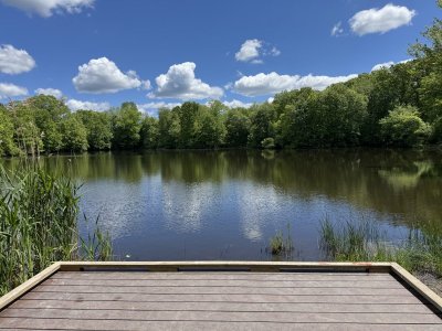 IMG_8649.jpeg