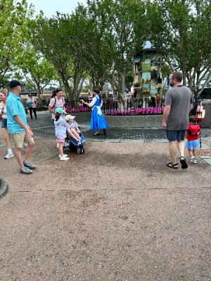IMG_4181.jpeg