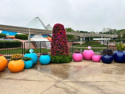 IMG_4191.jpeg