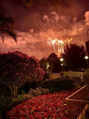 IMG_0074.jpeg