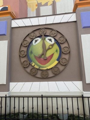 IMG_1339.jpeg