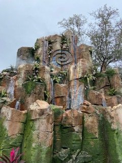 IMG_3719.jpg