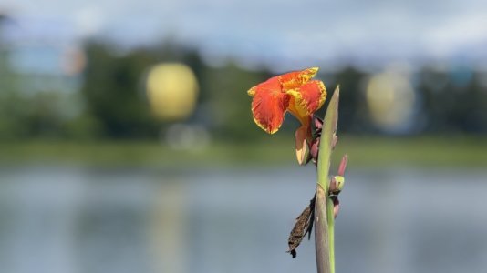 IMG_8109.jpeg