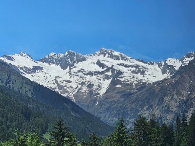 20250531_124309[1].jpg