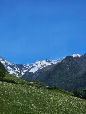 20250531_134302[1].jpg