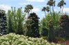 DSC_0563TR.jpg