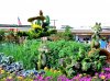 DonaldandChipsgreentopiary.jpg