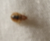 upload_2015-5-19_11-20-50.png upload_2015-5-19_11-20-50.png