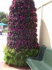 DSCF7640 (768x1024).jpg