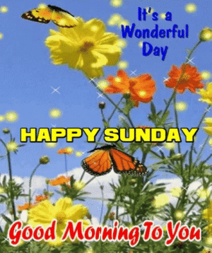 IMG_5316.gif