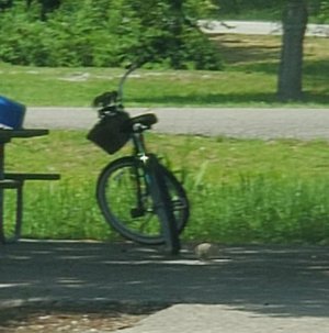 20250601_122804.jpg