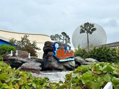 IMG_4209.jpeg