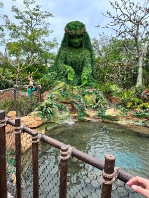 IMG_4217.jpeg