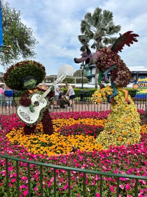 IMG_4227.jpeg