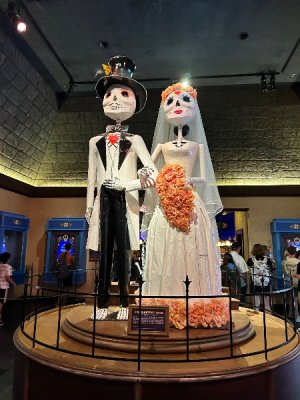 IMG_4230.jpeg