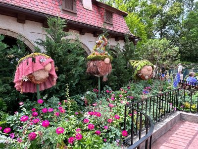 IMG_4242.jpeg