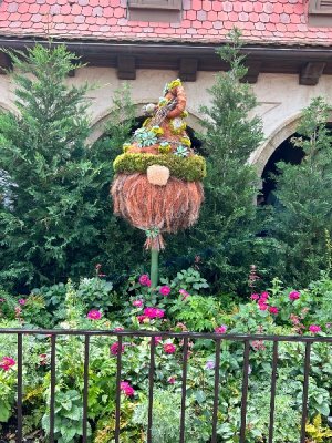 IMG_4243.jpeg