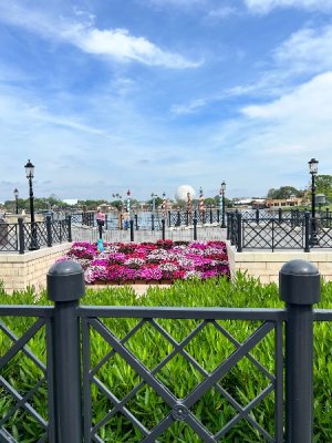 IMG_4244.jpeg