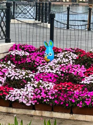 IMG_4245.jpeg
