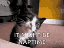 1748873296863.gif