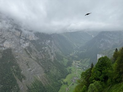 IMG_0211.jpeg