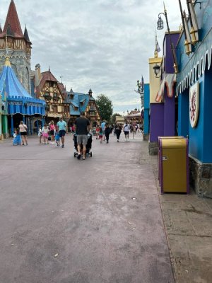 IMG_6972.JPEG